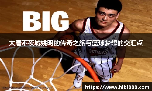 金彩汇