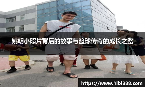 金彩汇官网